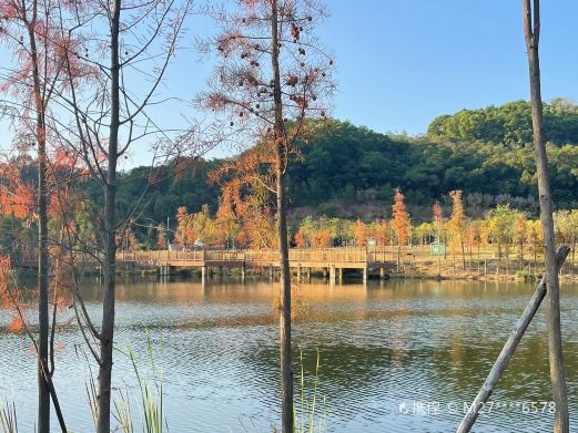 独田湖公园
