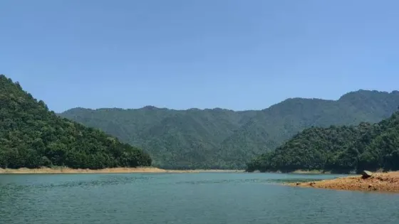 白鷺湖國家森林公園