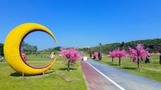 丰乐谷景区-永丰-沁沁布偶猫