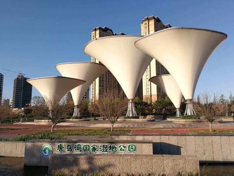 青岛唐岛湾国家湿地公园