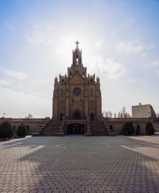 The Sacred Heart of Jesus Cathedral-塔什干