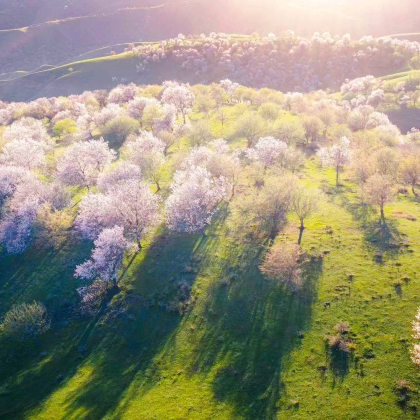 新疆乌鲁木齐+伊犁6日5晚自由行