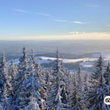 弗尔赫拉比图片