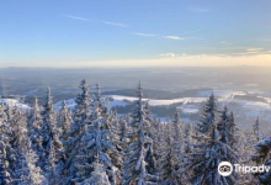 Žalý Lookout Tower景点图片