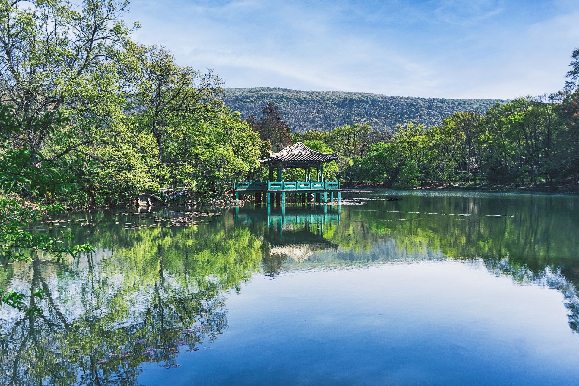 紫金山