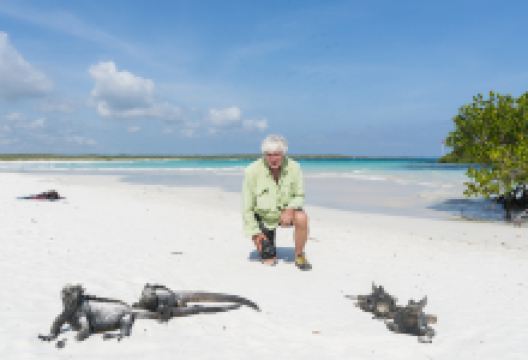海龟湾海滩景点图片