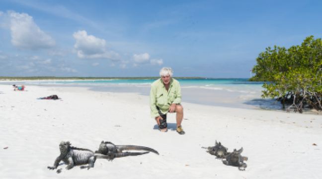 海龟湾海滩