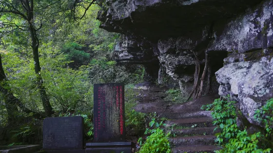 大樹王景區