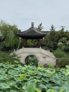 曾园赵园-常熟-梧桐雨586389