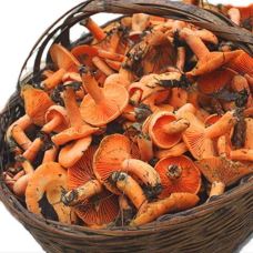 晏氏巷子鱼庄(米易店)-米易-118****314