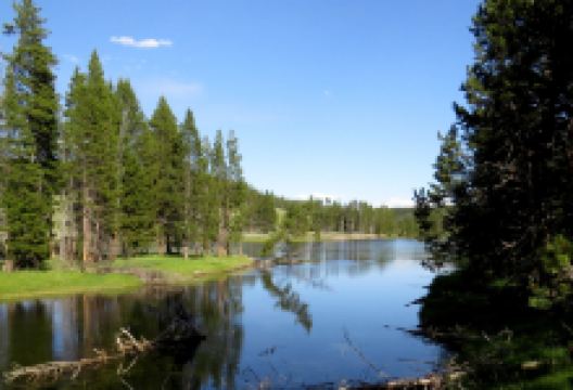 西夏公园景点图片