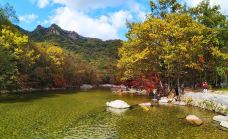 蒲石河森林公园-凤城-素心如雪lavender