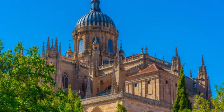 薩拉曼卡新主教座堂