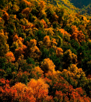 丽水游记图文-盘点浙南、皖南的秘境之秋，丽水、皖南秋色人文图鉴