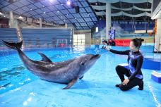 合肥海洋世界-合肥-C-IMAGE