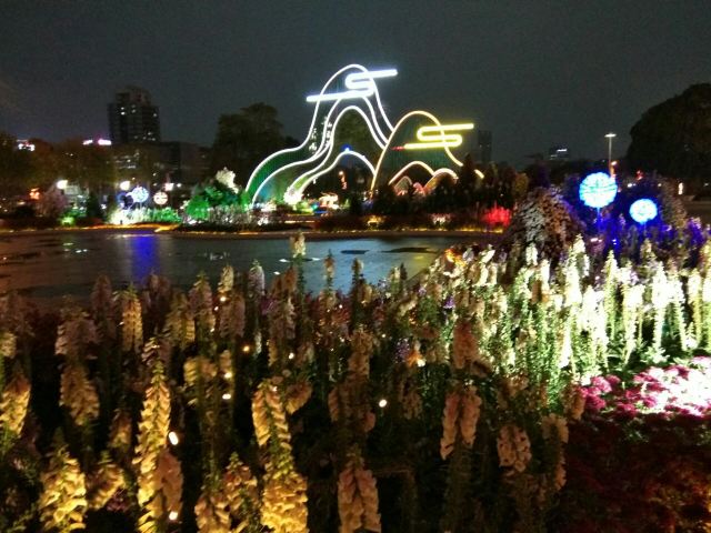 中心广场旅行图片 1