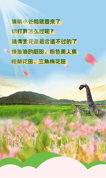 清明踏青快乐田园游,三亚水稻公园全家总动员