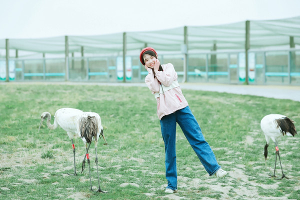 花海、麋鹿、丹顶鹤...江苏这座宝藏小城给人太多惊喜|盐城旅行