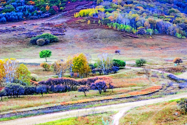 五彩山,乌兰布统最美的秋色! 宛如一幅幅油画般的彩林