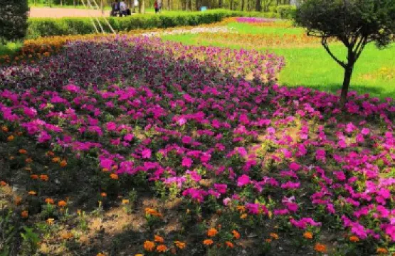 北橫街人民公園