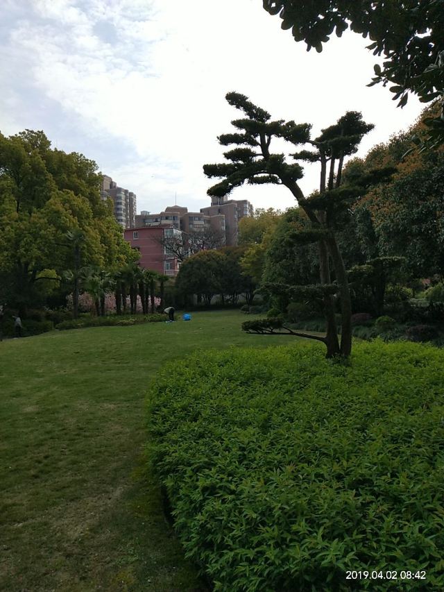 漕溪公园旅行图片 8