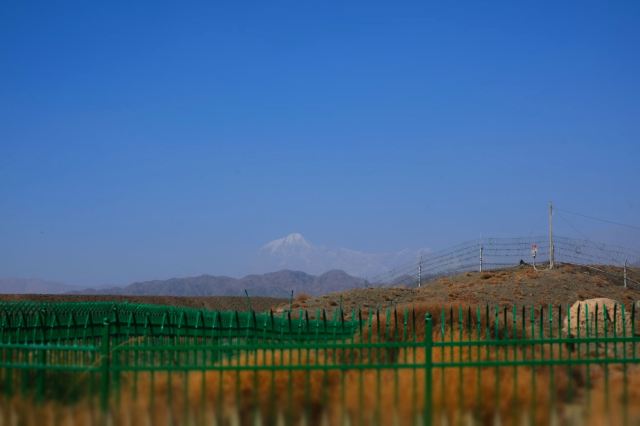 天山神木园旅行图片 7