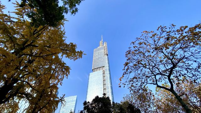 鼓楼公园旅行图片 4