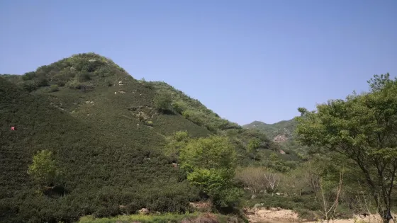 黑龍潭