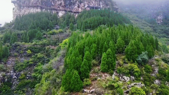 夏日济南青铜山大峡谷已上线,还不来峡谷畅快游玩?感受下济南18度的夏天!