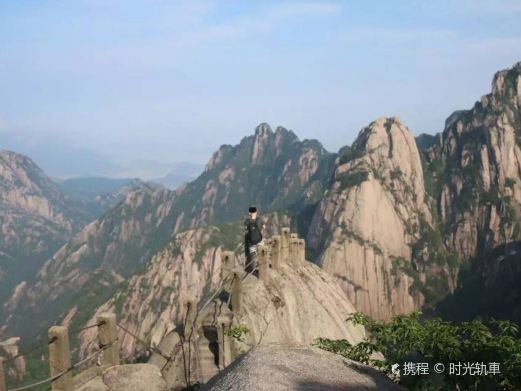 鲫鱼背