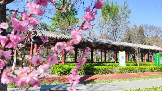 半壁店森林公園