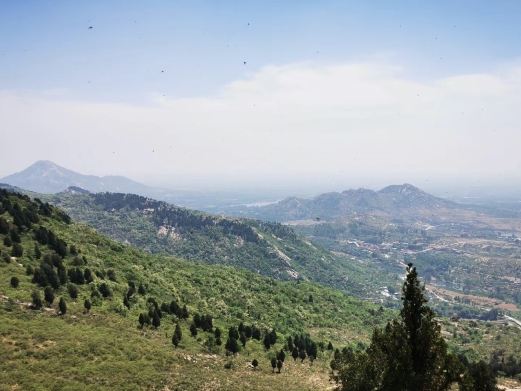 凤凰山