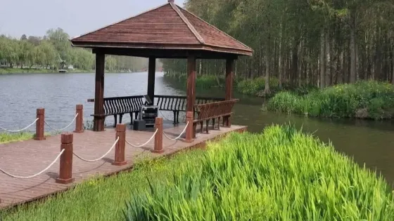 揚中森林公園