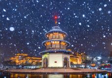 桐乡