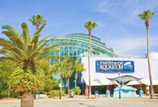 佛州水族馆景点图片