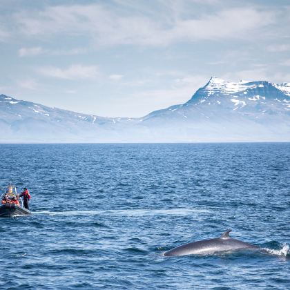 冰岛雷克雅未克+阿克雷里+华姆斯唐吉+斯奈山半岛12日11晚私家团