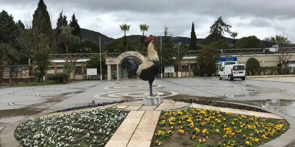 永安旅遊