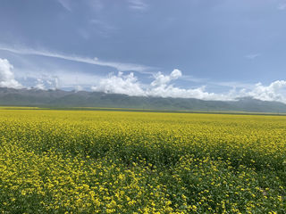 眼睛在天堂·西北大环线呕心沥血万字攻略（附包车行程及价格表），各位女生请看过来