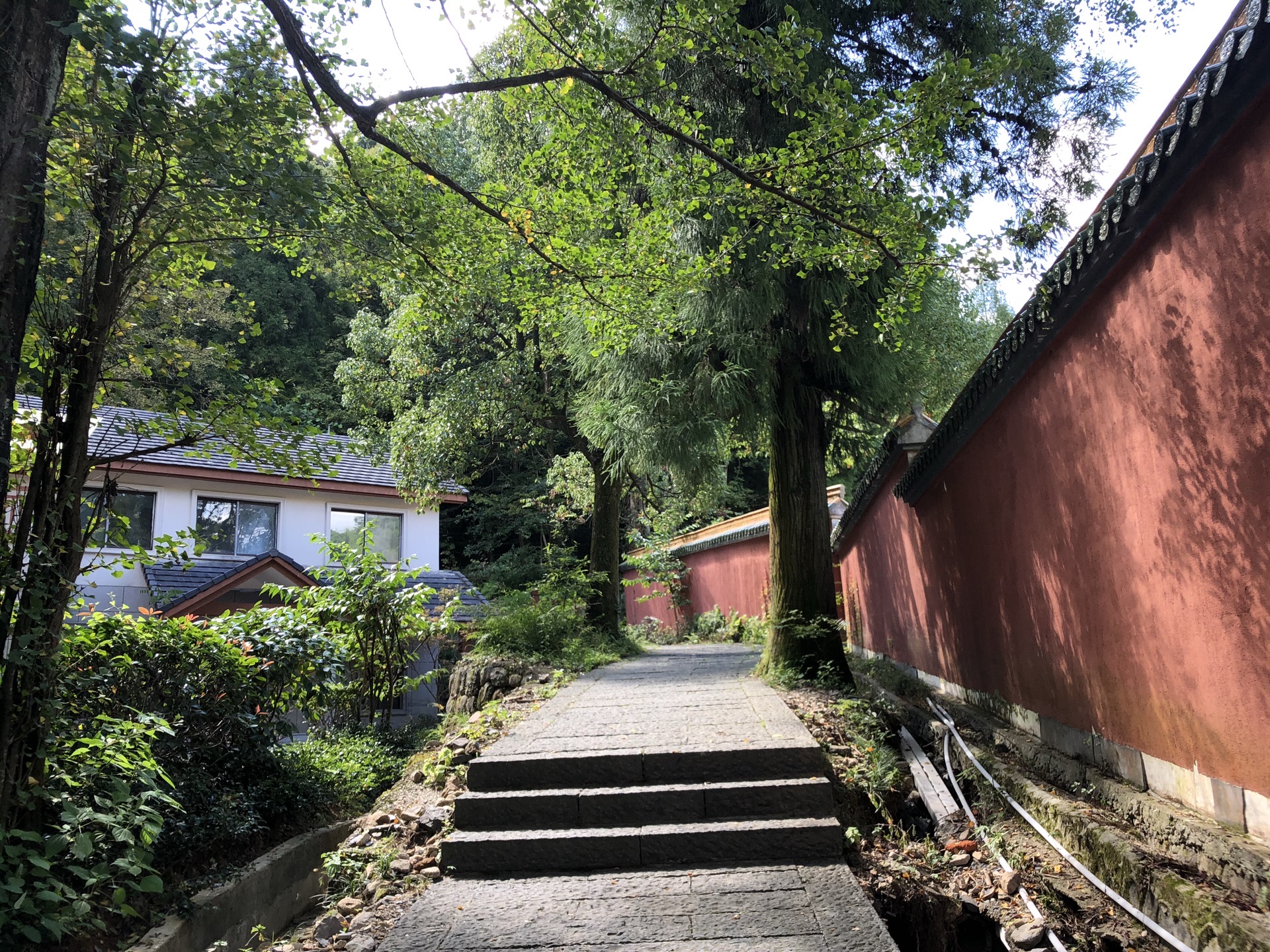 威斯汀酒店大堂吧餐厅图片