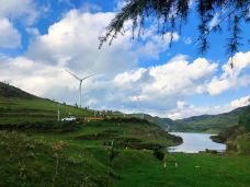 乌蒙大草原-盘州-小鹿叮叮！