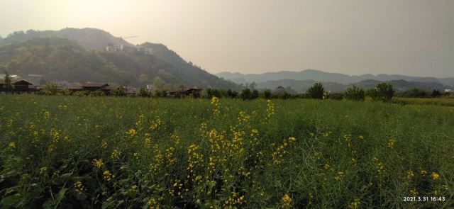 清龙十里画廊水头寨旅行图片 4