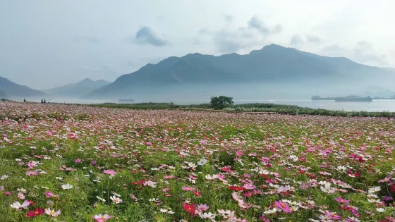 羚羊峽