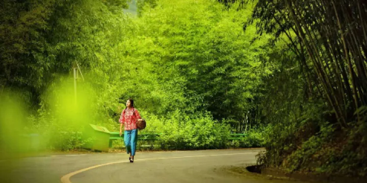 王府竹海度假旅遊區