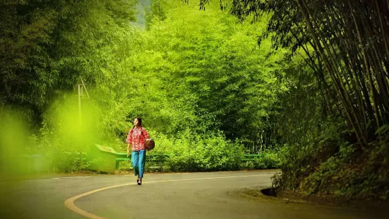 王府竹海度假旅遊區
