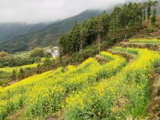 彩虹桥-婺源-熊新峰
