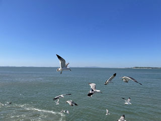 周末游记（6/5-6/6）