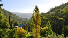 洛福迪山-洁兰-小思文