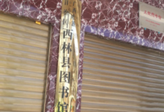 西林县图书馆景点图片