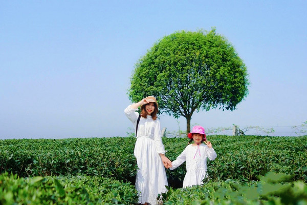比花海还美的治愈系茶乡！自驾1h打卡成都周边小众美景，文艺村落、水果采摘，遛娃绝配！