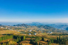 正安游记图片] 乡游黔中·正安县 坪生村丨春日已至，这个村子准备扬“茗”立万